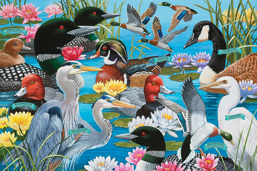 Water Birds (Floor 36pc)