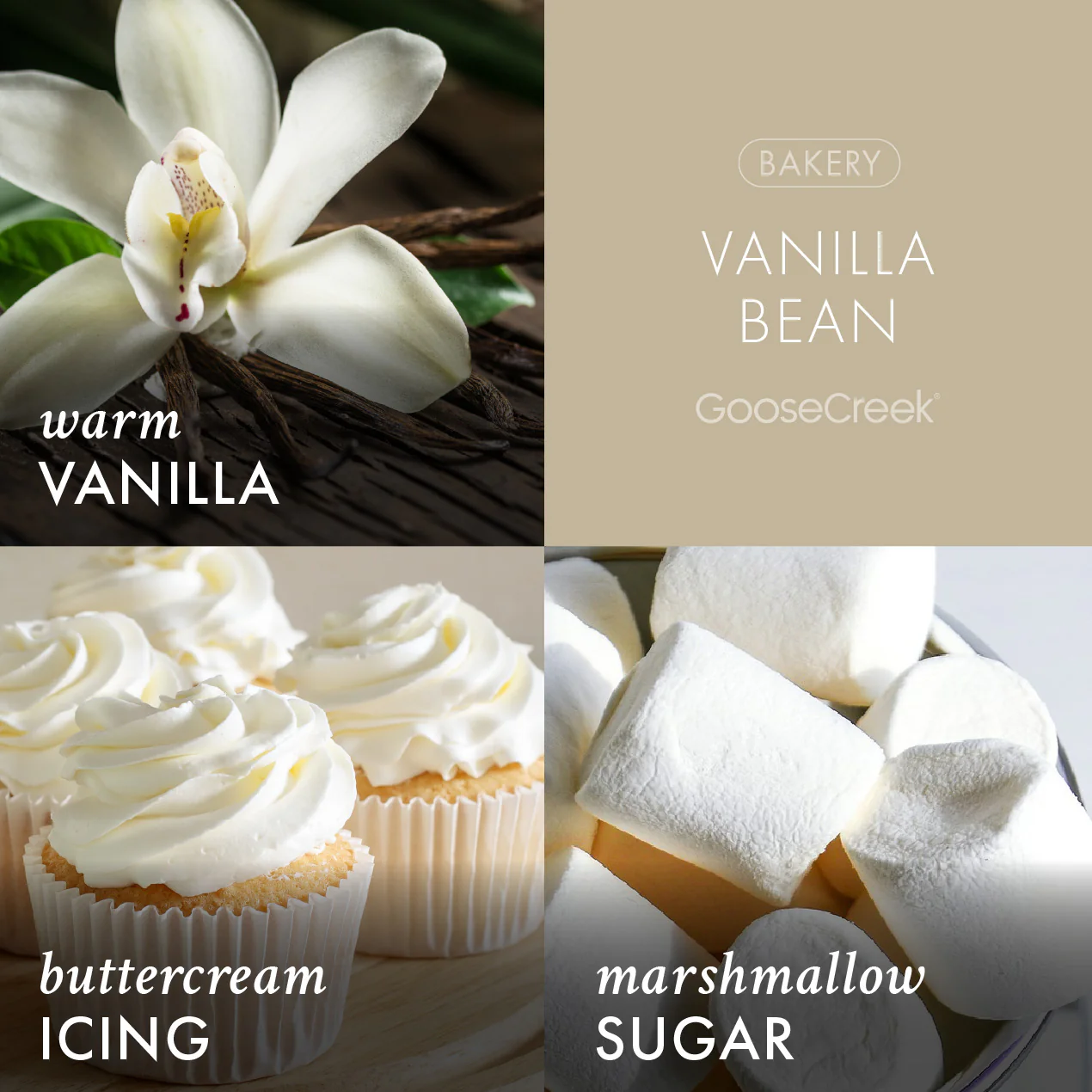Vanilla Bean Wax Melt