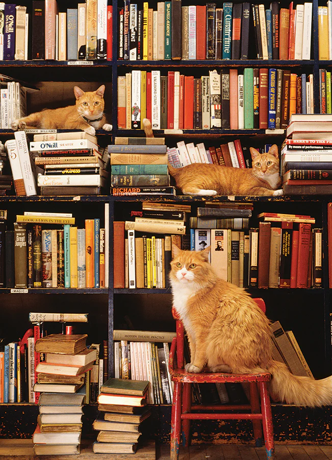 Gotham Bookstore Cats | Discontinued 500 Piece (Old Big Box)