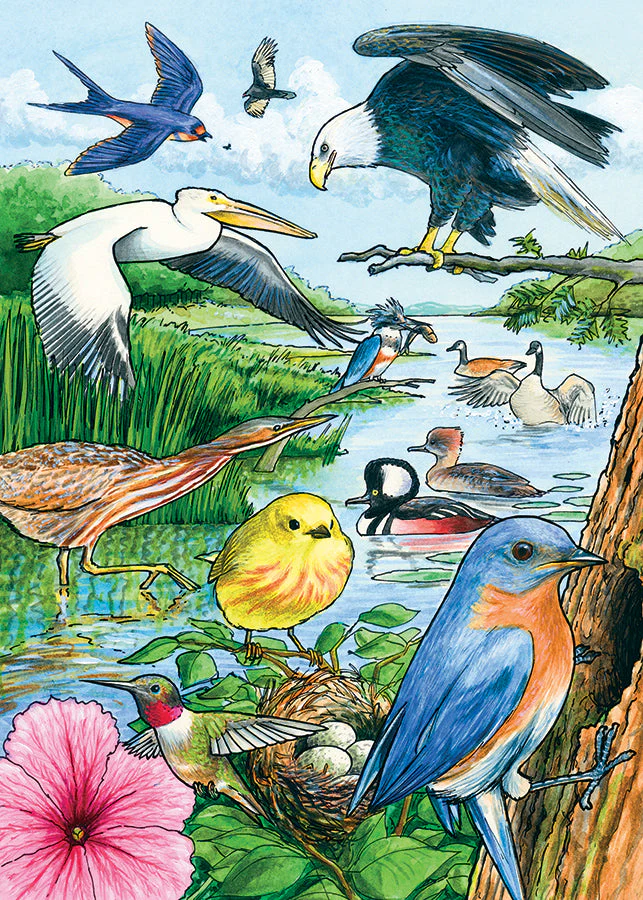 North American Birds (tray) | 35 Piece Tray