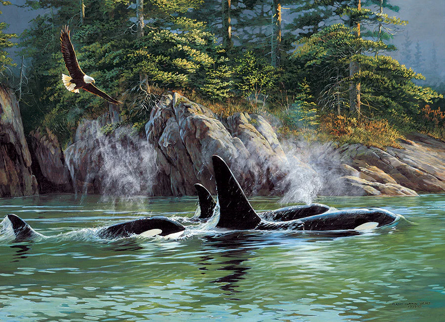 Orcas | 1000 Piece