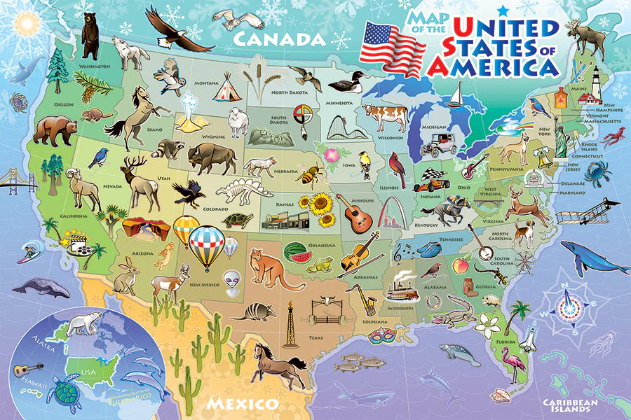 Map of the USA (Floor 48pc)