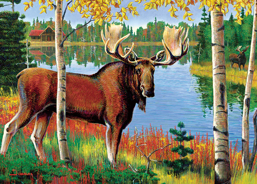 Moose (tray) | 35 Piece Tray