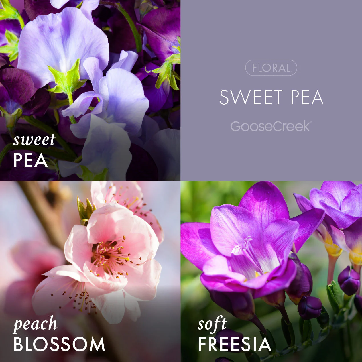 Sweet Pea Wax Melt