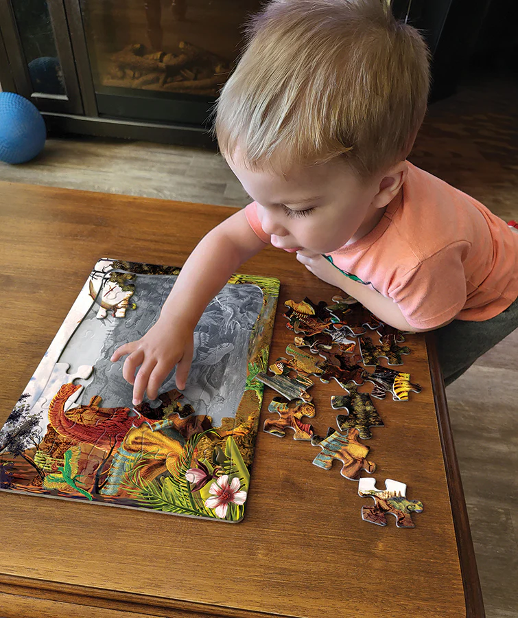 Dino Story (tray) | 35 Piece Tray