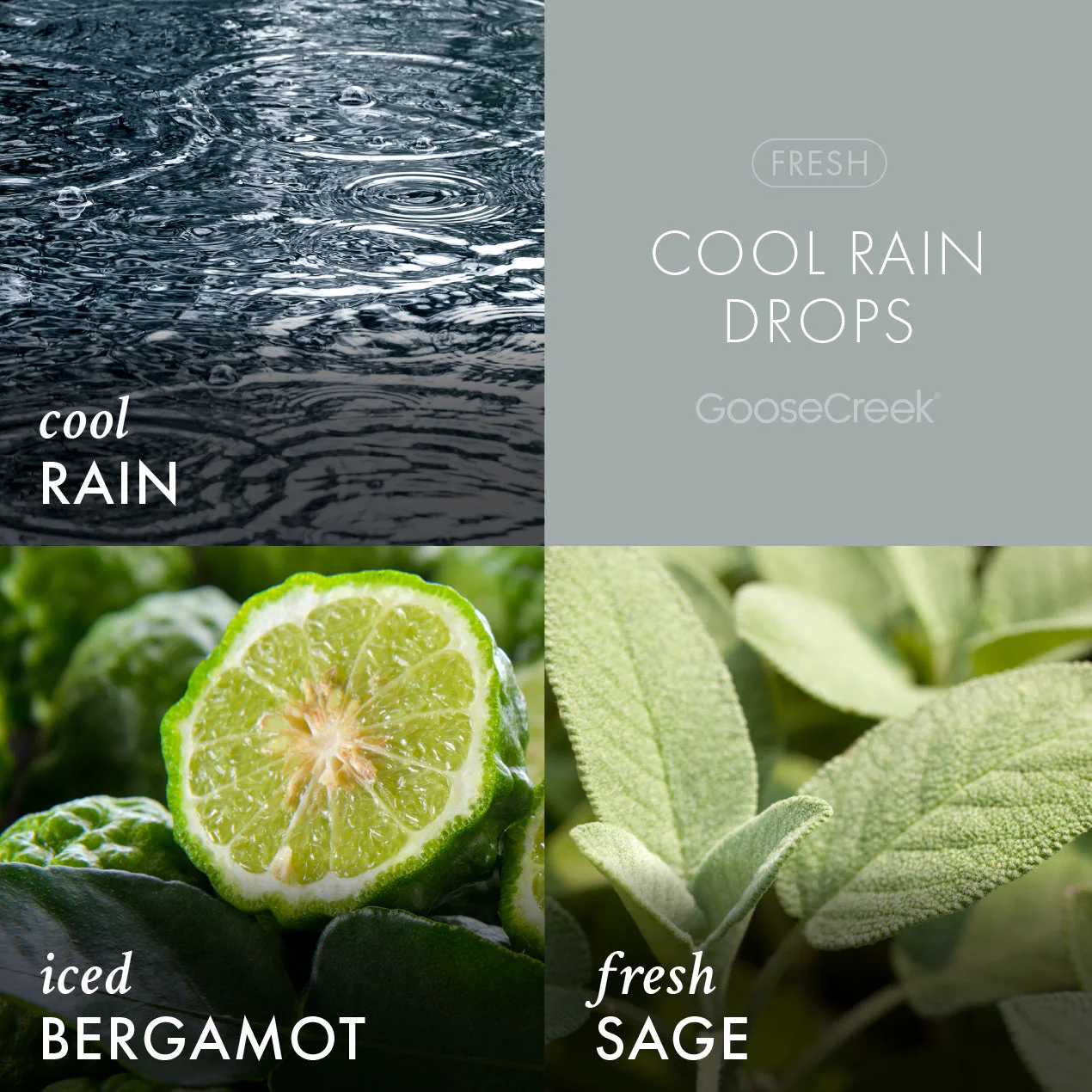 Odor Eliminating Cool Rain Drops Wax Melt